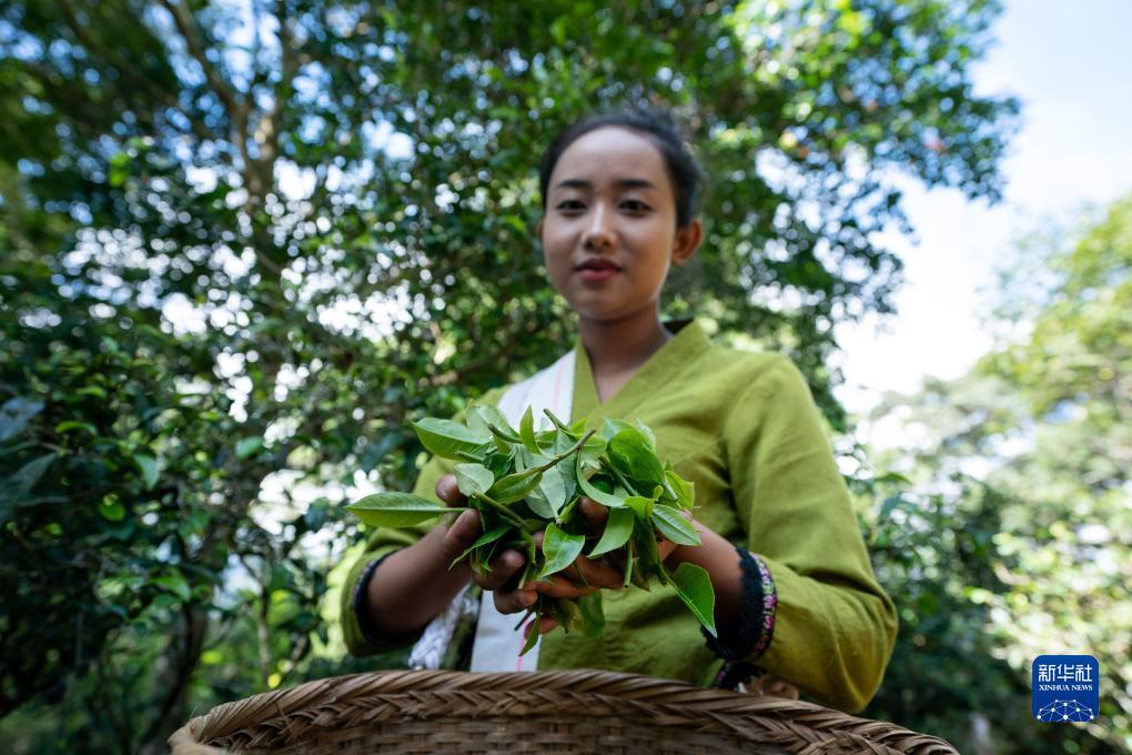 新美高梅线上